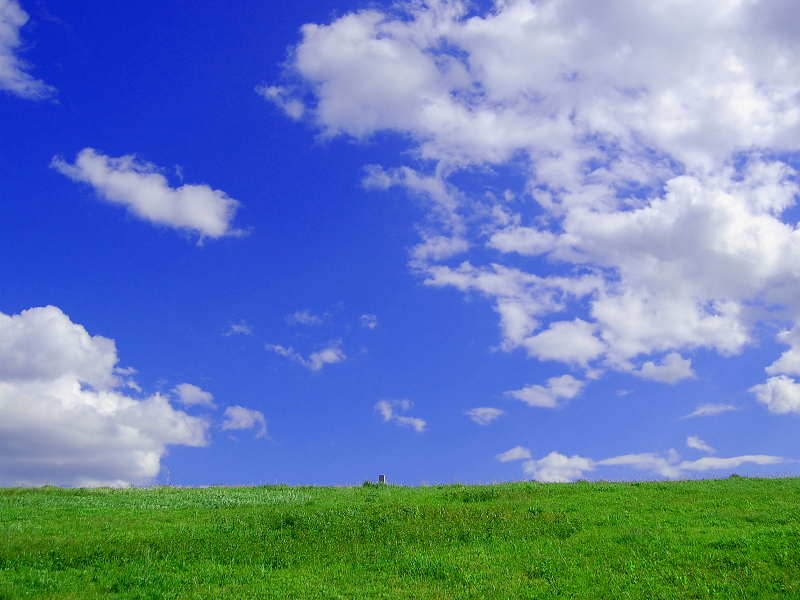 スライドショー