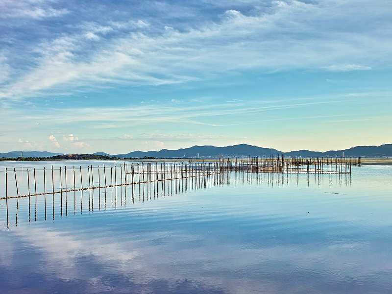 スライドショー